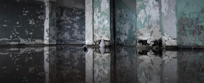 Mold Remediation After Water Damage: Step-by-Step Guide