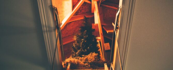 Best Attic Rodent Remediation 2026: Top 5 Services Ranked