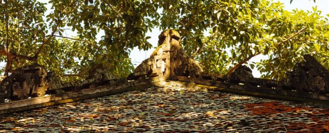 Signs of Termites in Your Home: What to Look For